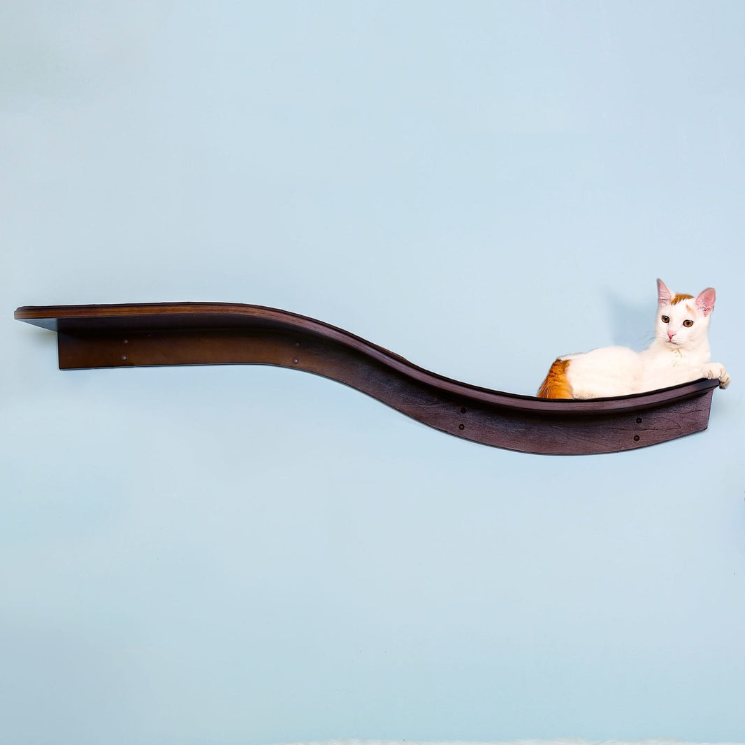 Shelves Jackson Galaxy