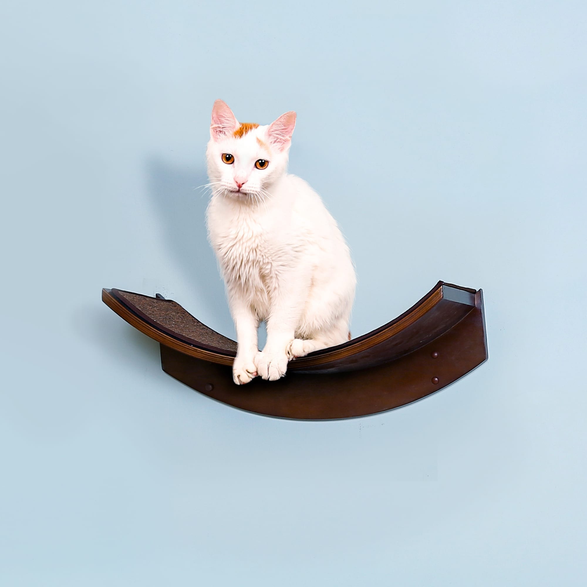 Cheap cat shelves sale