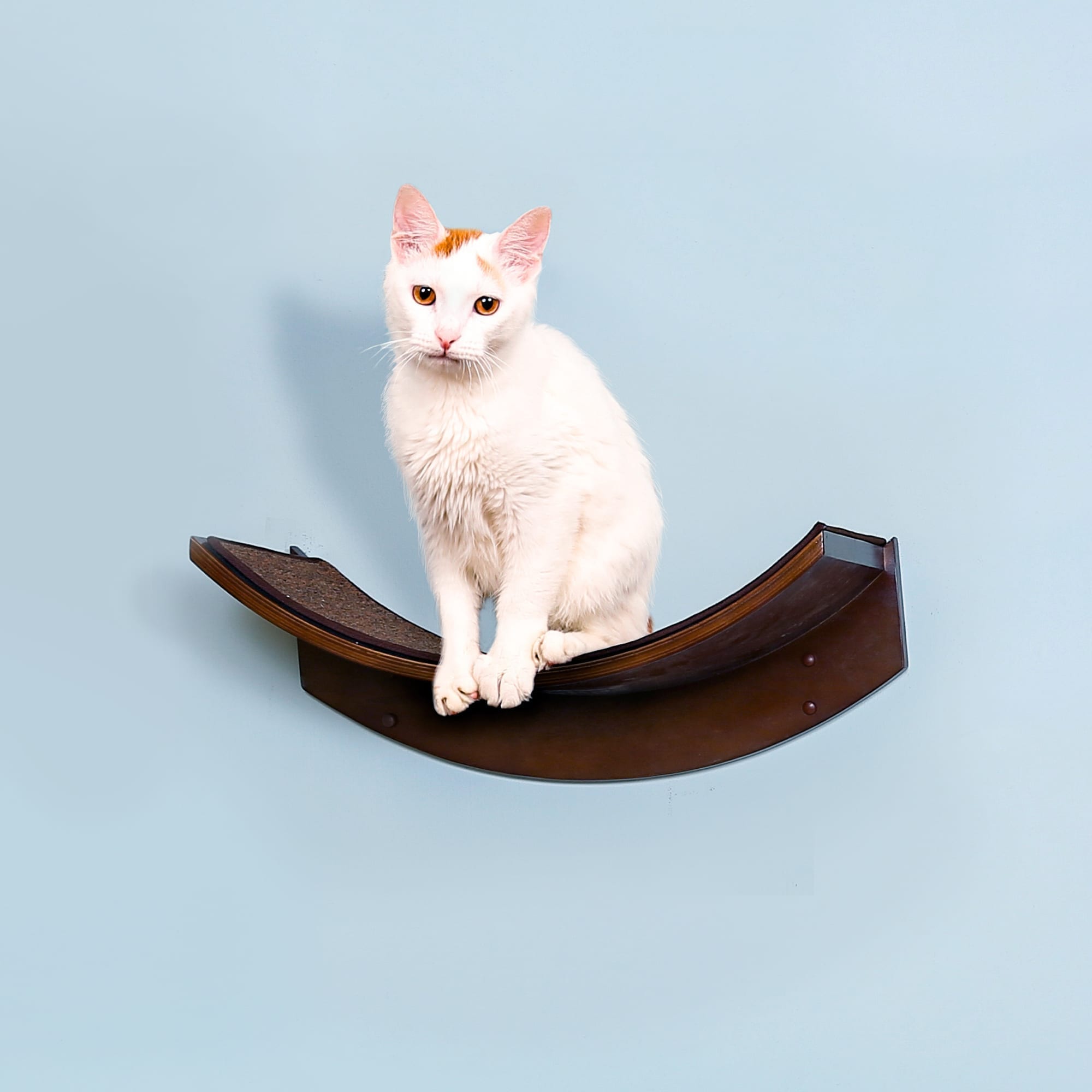 Lotus Leaf Cat Shelf by The Refined Feline