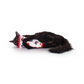 Keep 'em Kickin' Cat Bundle