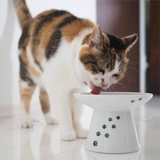 Extra Wide Raised Cat Food Bowl by Necoichi