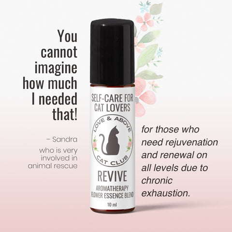 Revive Set - Rejuvenation for Humans