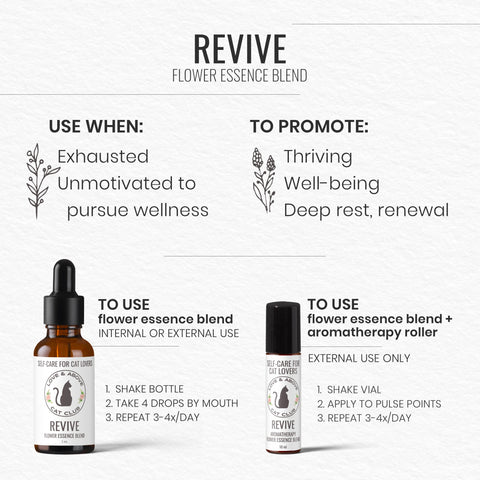 Revive - Rejuvenation for Humans: Aromatherapy & Flower Essence Roller