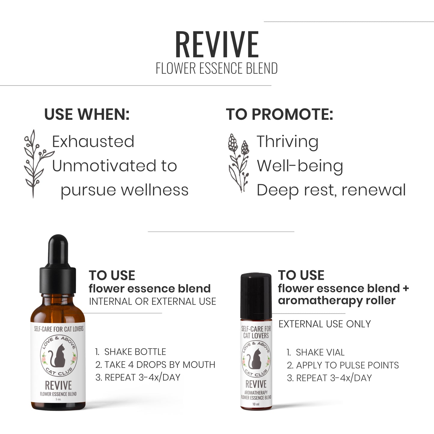 Revive - Rejuvenation for Humans