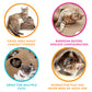 Ripple Rug Cat Activity Mat