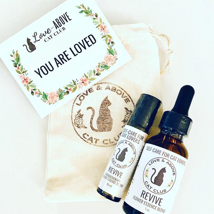 Revive Set - Rejuvenation for Humans