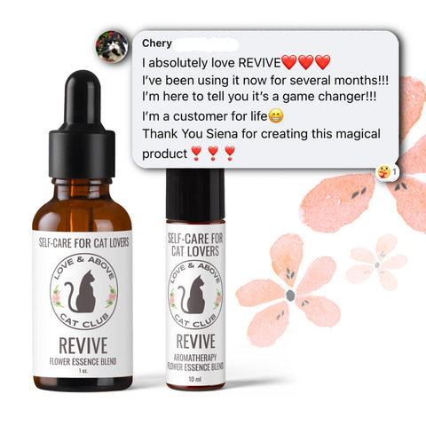 Revive Set - Rejuvenation for Humans