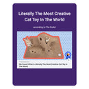 Ripple Rug Cat Activity Mat – Jackson Galaxy