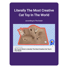 Ripple Rug Cat Activity Mat – Jackson Galaxy