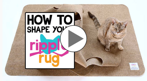 Enriching Playtime with the Ripple Rug Cat Activity Mat - Cat Lady Alley