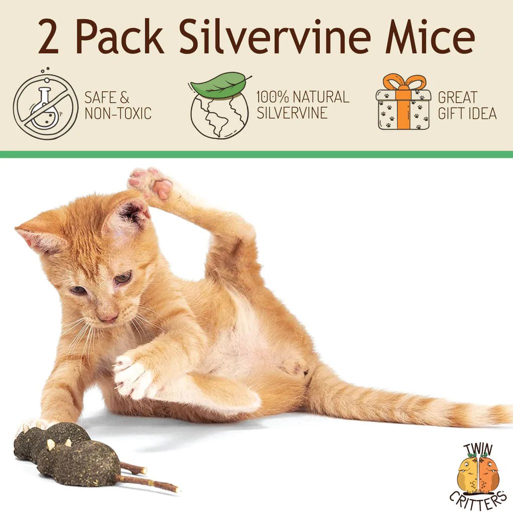 Silvervine Mice Lollipops (Set of 2) by Twin Critters
