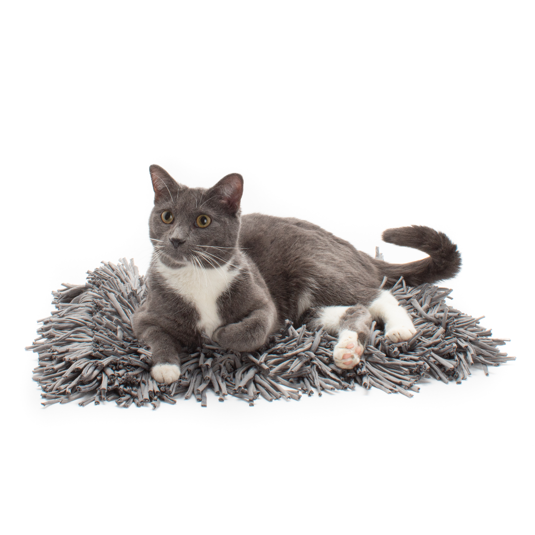 Snuffle Mat For Cats