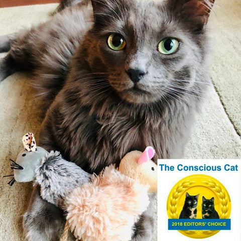 New cat shop toys 2018
