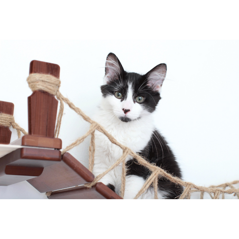 Cat Bridge Lounge (30