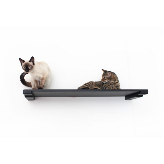 34" Cat Shelf by Catastrophic Creations