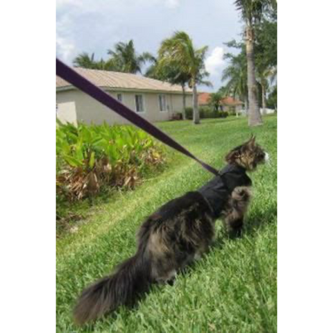 Cat holster best sale