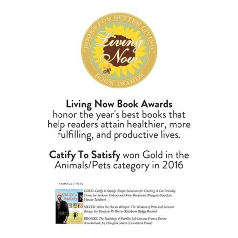 Catify online to satisfy