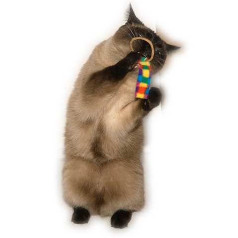 Chaser 6-Pack Cat Toys