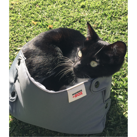 Whiskers cat bed sale