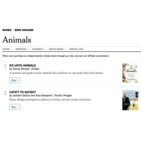 Catify 2024 to satisfy