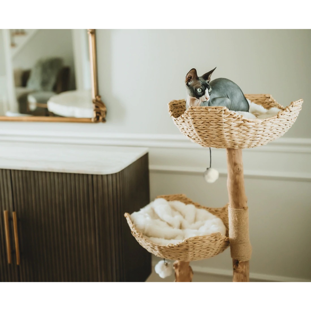 Cento Cat Tree by Mau Pets