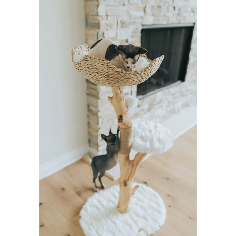 Uni Cat Tree by Mau Pets