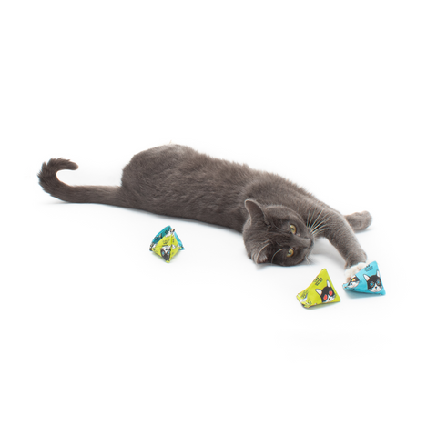 Catnip Pods - Set of 2 or 6