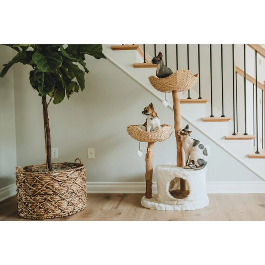 Cento Cat Tree by Mau Pets