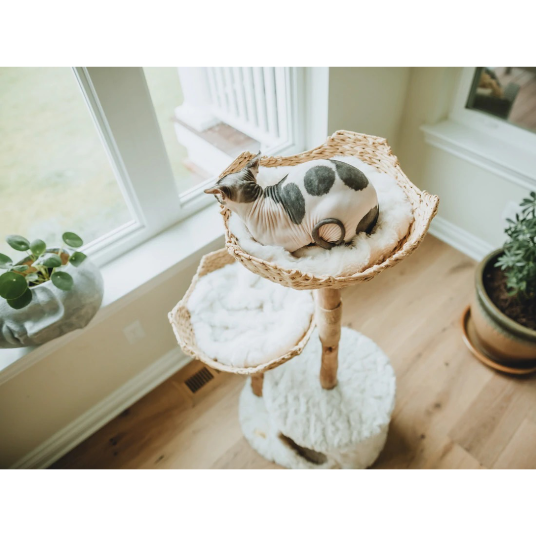 Cento Cat Tree by Mau Pets