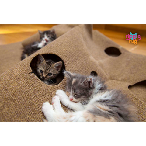 Introducing the Ripple Rug Cat Activity Mat • hauspanther