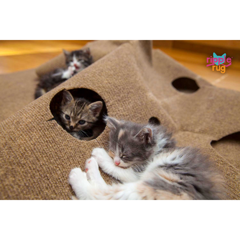 Cat activity best sale mat