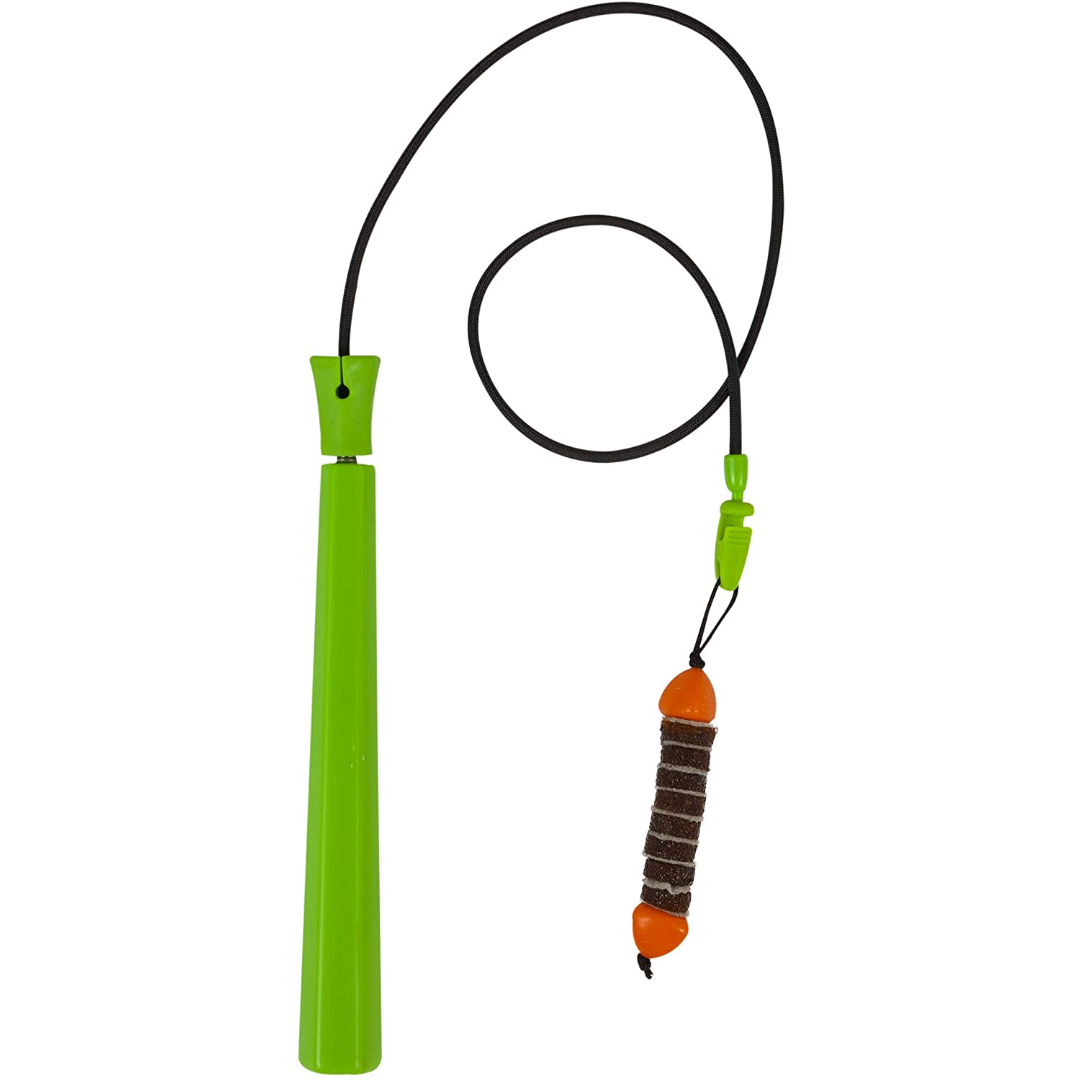 Ground Prey Telescoping Wand with Felt Worm Toy