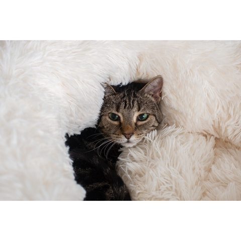Cuddle Cloud Cat Bed by Armarkat