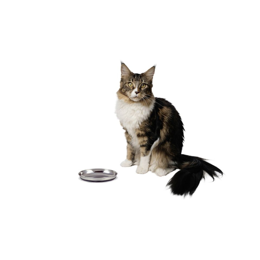 Our Pets 12 oz. Cat Dish With Rubber Base