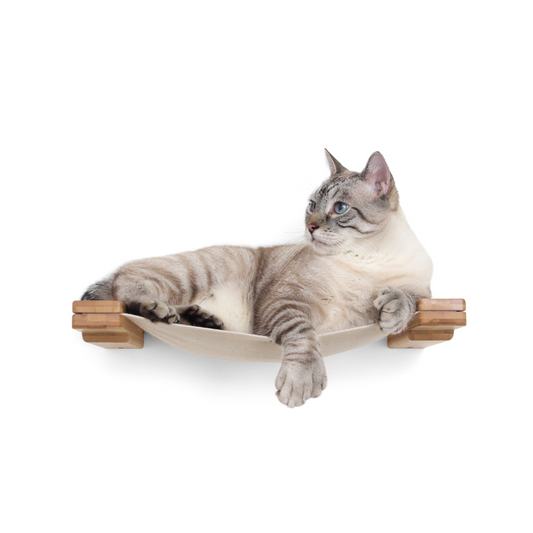 16" Cat Lounge by Catastrophic Creations