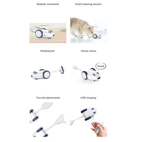 Robo Mouse - Interactive Electronic Cat Toy by Kittio