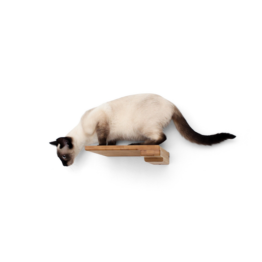 Cat Step by Catastrophic Creations