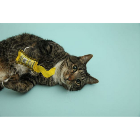 Taco Sauce Cat Toy Set