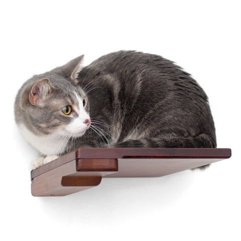 Cat Step by Catastrophic Creations