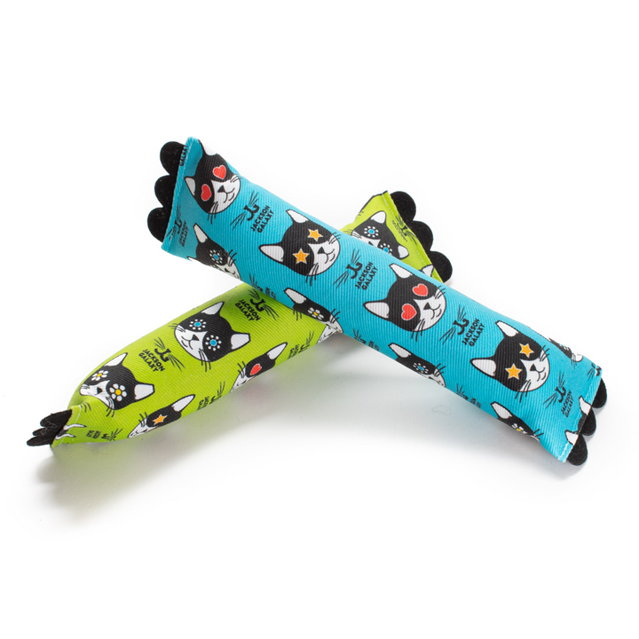 For Cats Jackson Galaxy