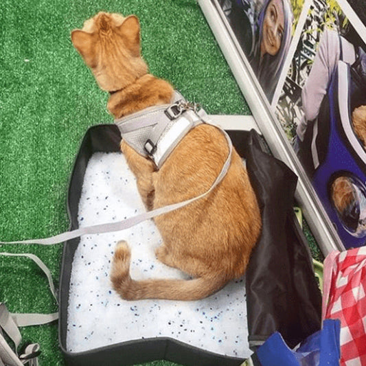 Litter and Accessories Jackson Galaxy