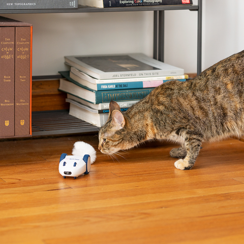 Robo Mouse - Interactive Electronic Cat Toy by Kittio