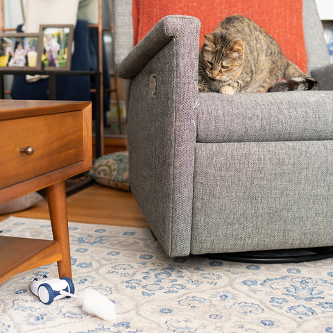 Robo Mouse - Interactive Electronic Cat Toy by Kittio