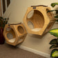 Real Wood Wall Series: Natural Wood Wall Tree (Set of 2) by Armarkat