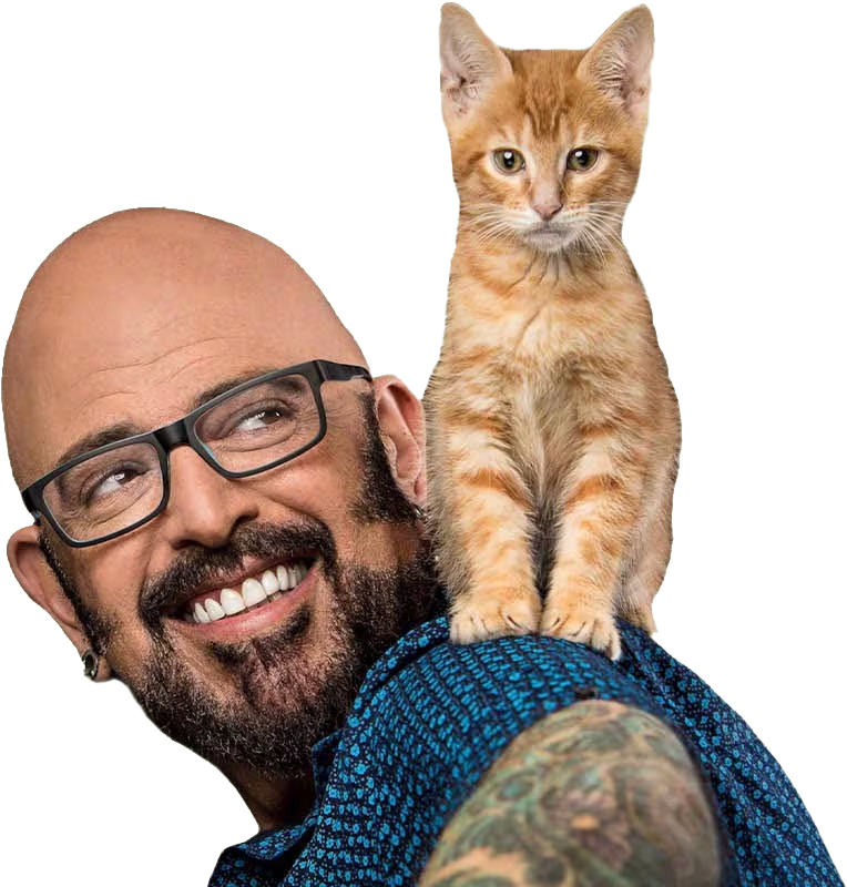 "The True Adventurer" Reflective Cat & Kitten Harness and Leash